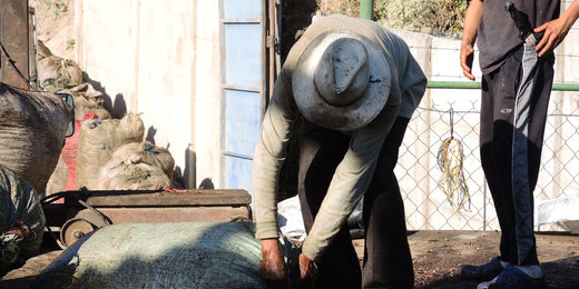El Salvador: Kaffee mit Aromen von Kakao und Kaffeekirsche