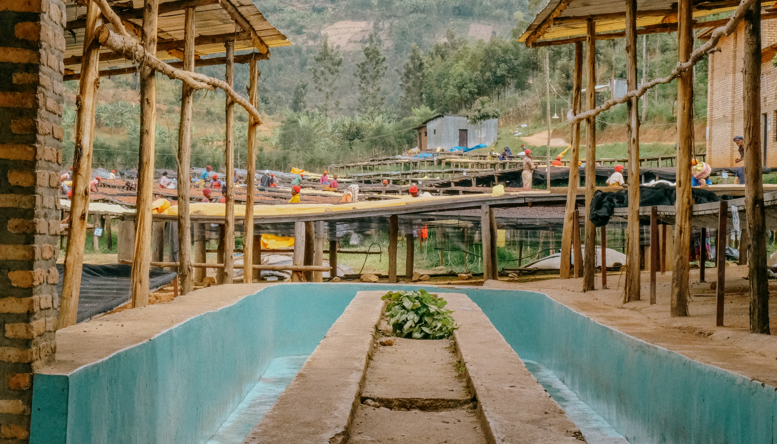 Was ist eigentlich Processing?