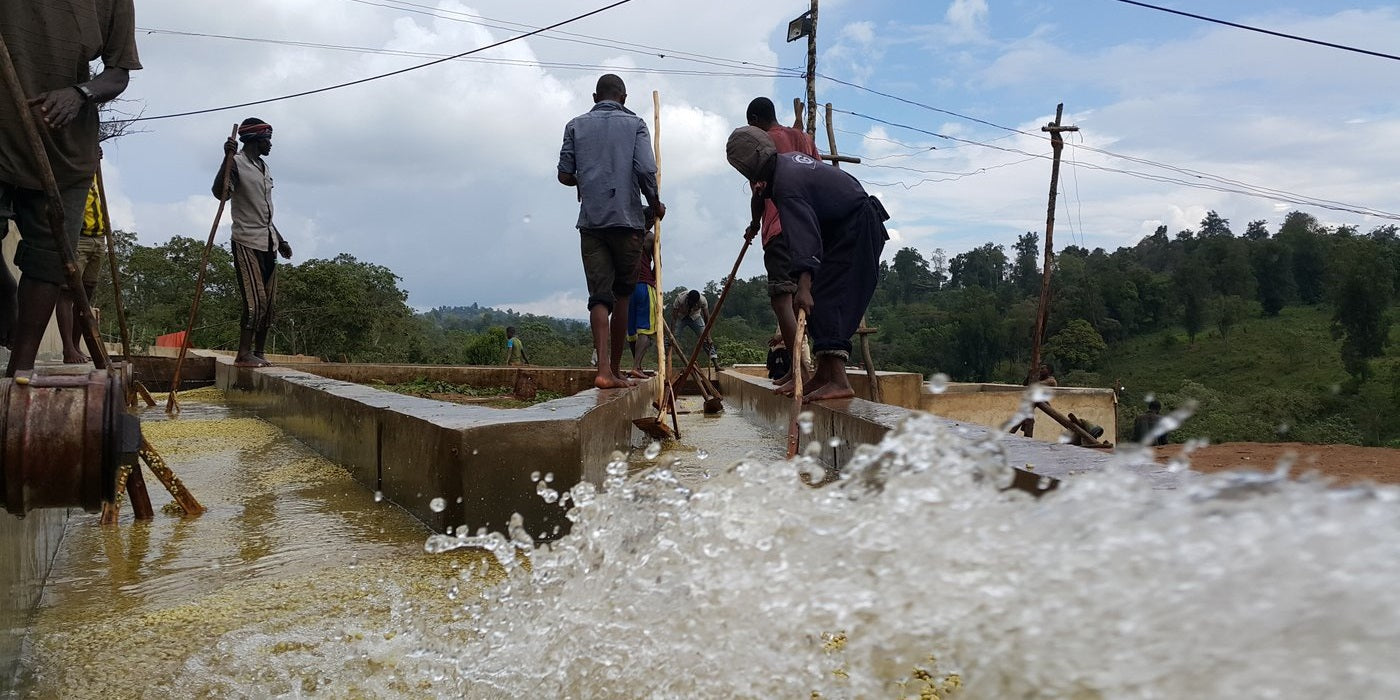 Äthiopien: Kaffee wird gewaschen