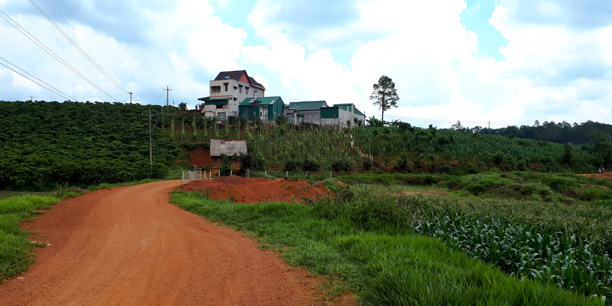 Zanya - Vietnamesischer Arabica vom Fuße des Lang Biang Mountain