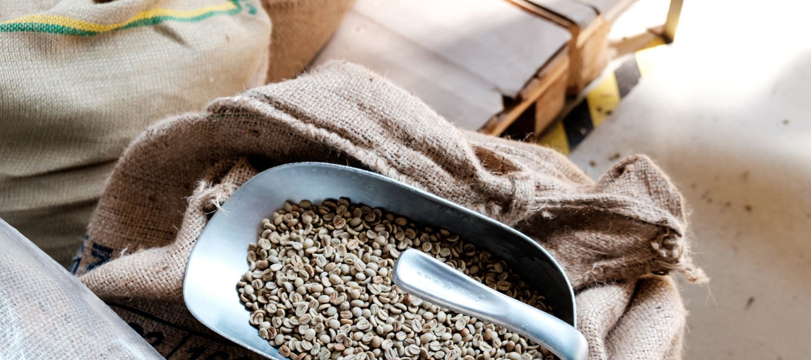 B2B Sales & Account Manager Gastronomie (all genders)