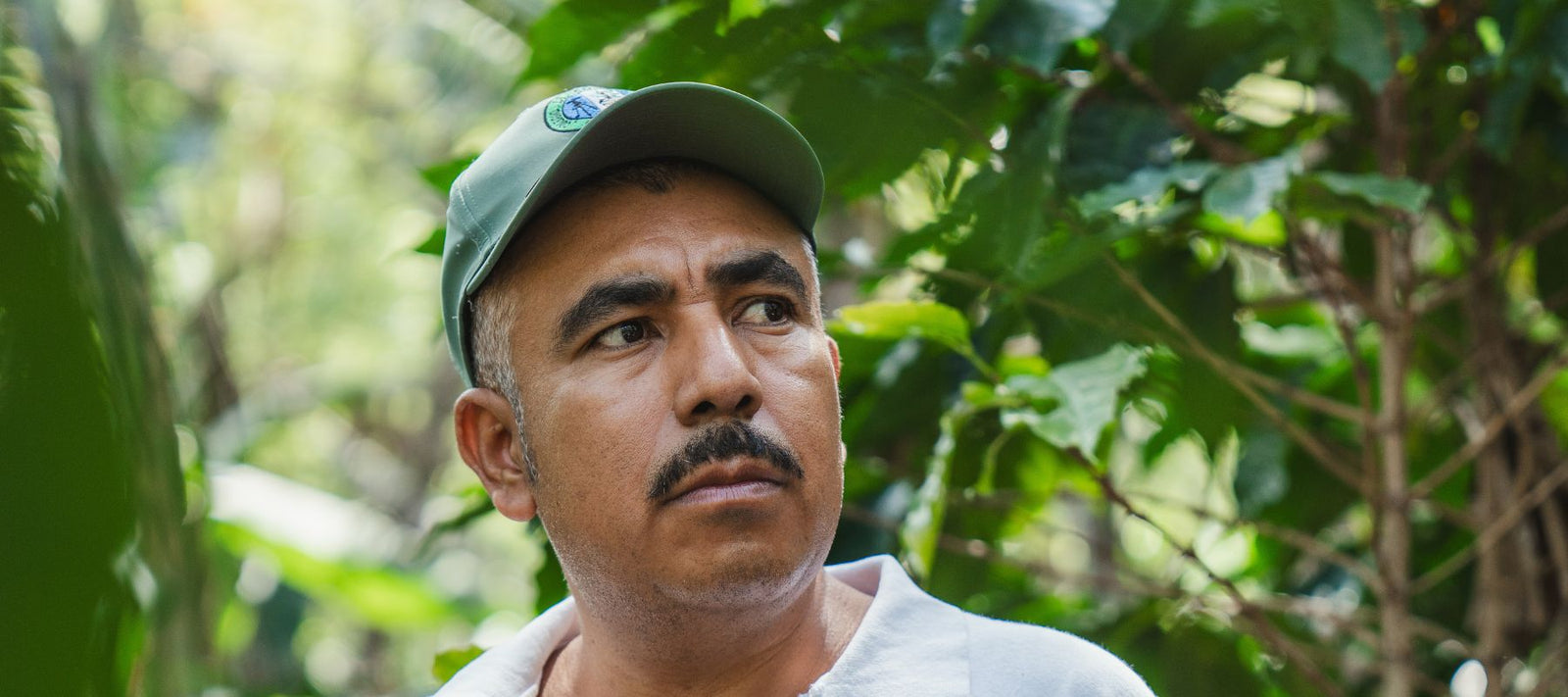 Guatemala: Jaime Sanchez – Honey Process aus Santa Rosa