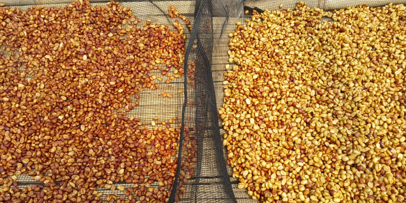 Transparenzbericht 2024 – Kurzfassung