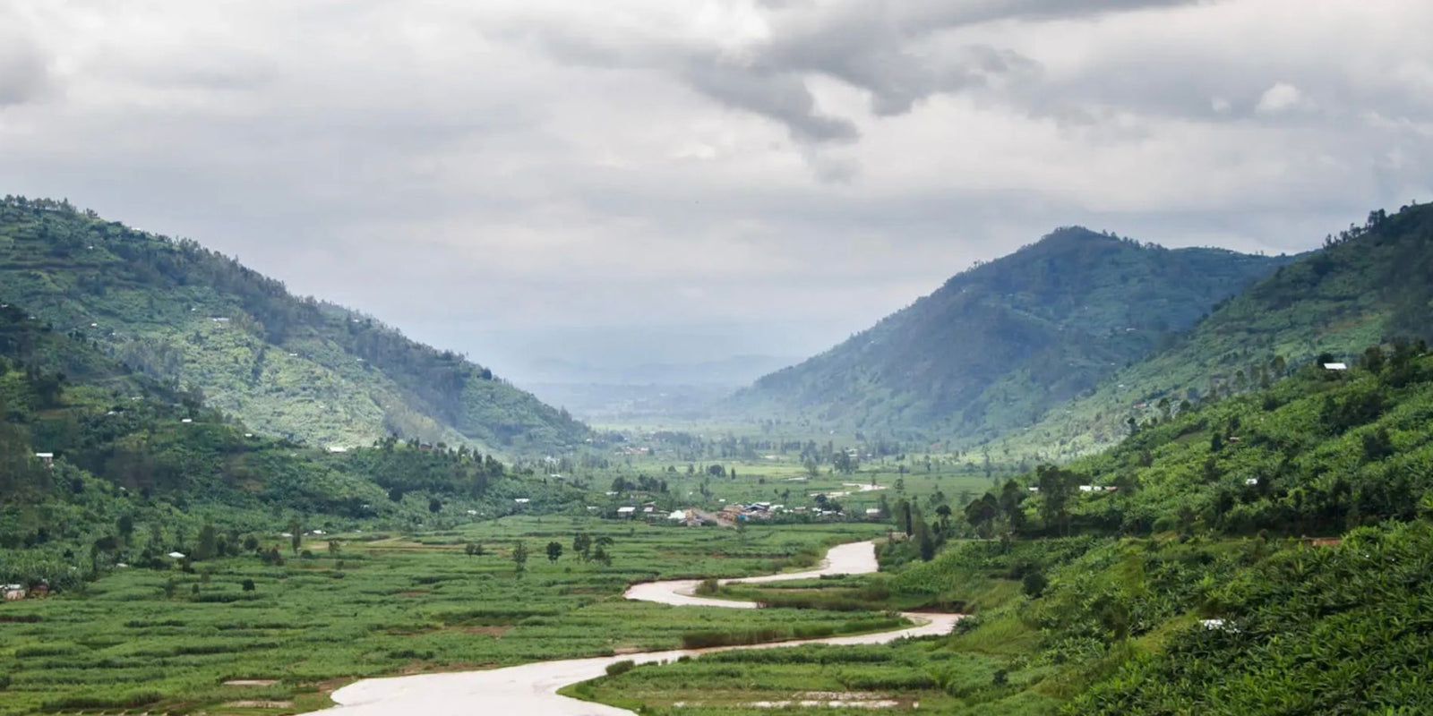 Transparenzbericht 2024