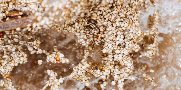 Transparenzbericht 2021