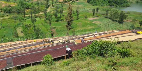 Transparenzbericht 2022-23