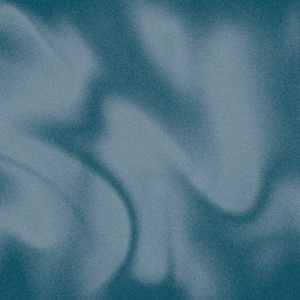 🌲 Festliche Geschenkideen