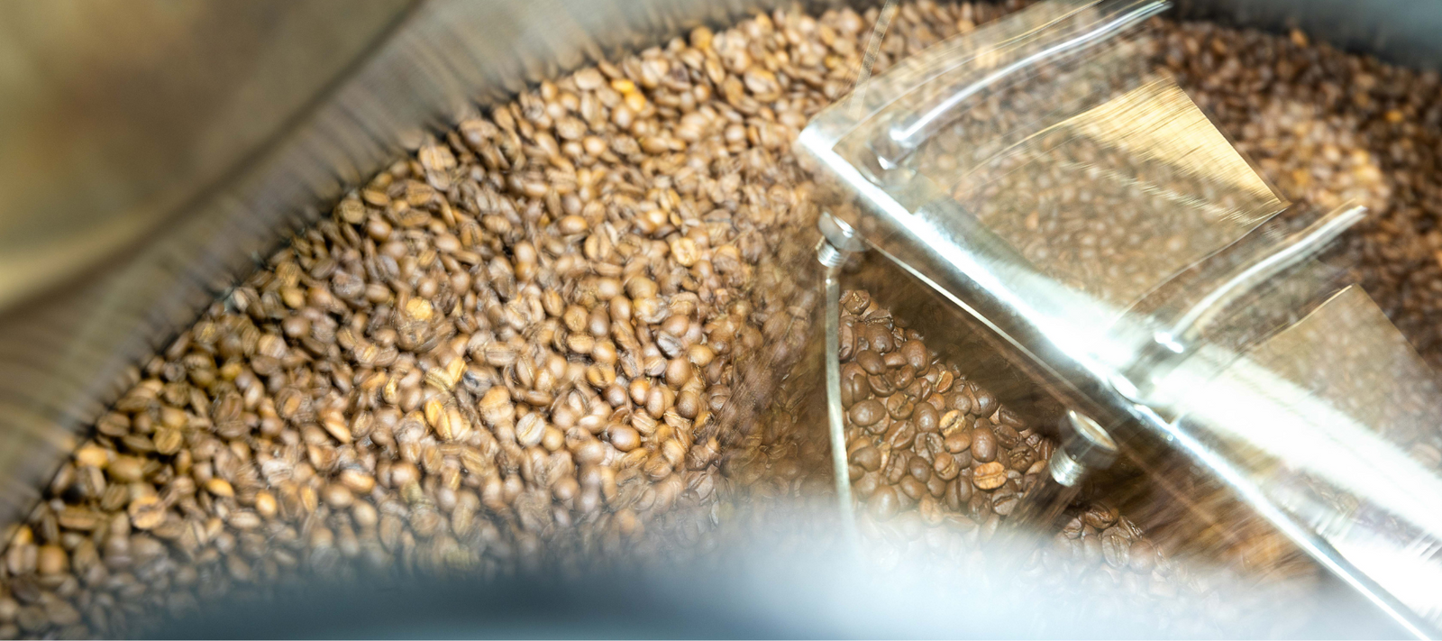 Bild Transparenzbericht