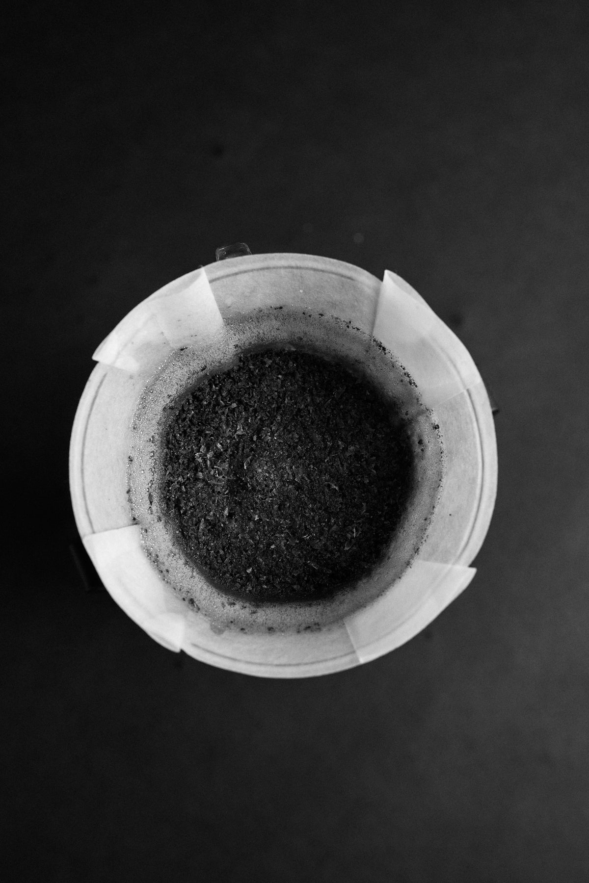 Sibarist Fast Flat M Filterpapiere (25 Stück)