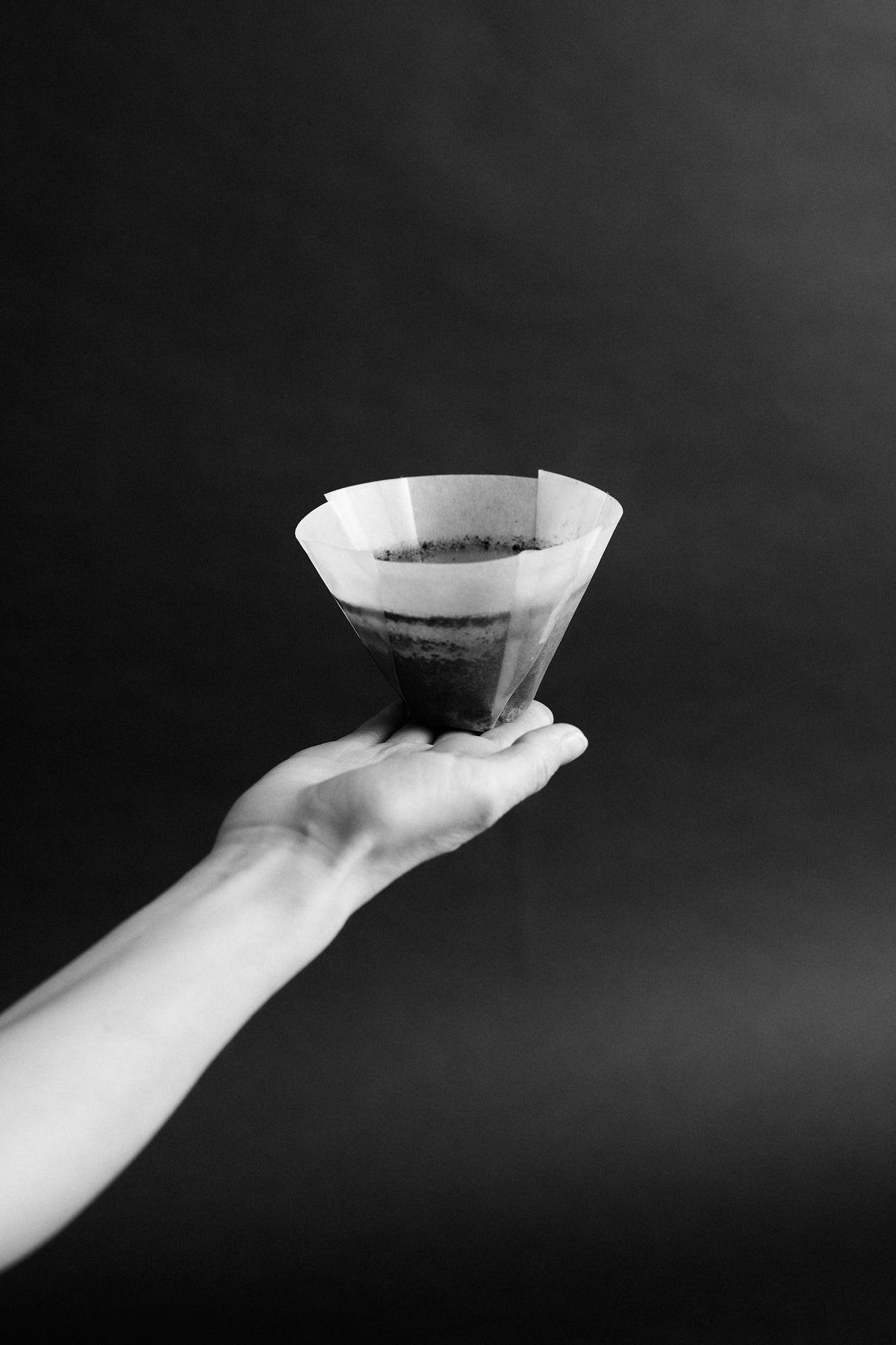 Sibarist Fast Flat M Filterpapiere (25 Stück)