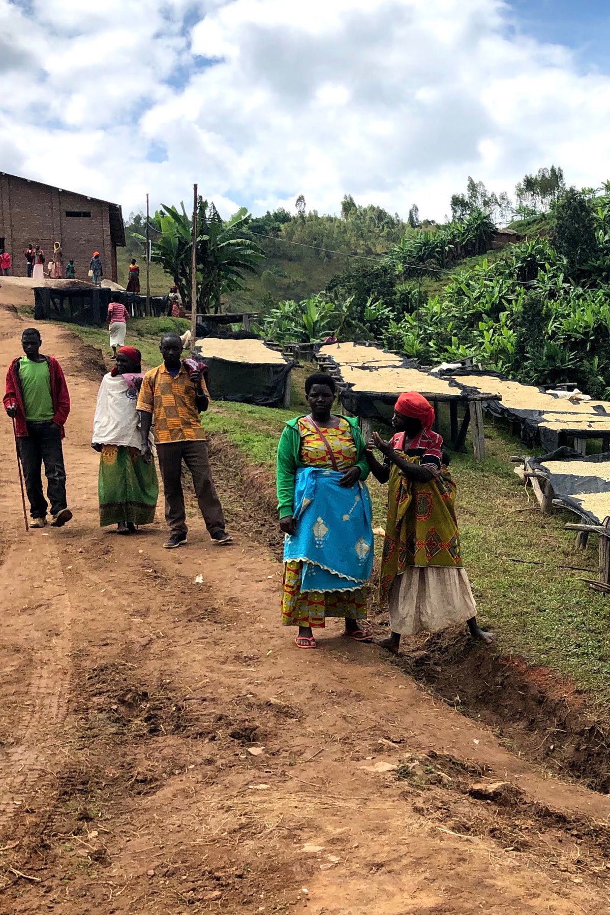 IZUBA - BURUNDI