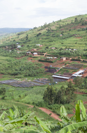 [SOLD OUT] NOVA - RUANDA