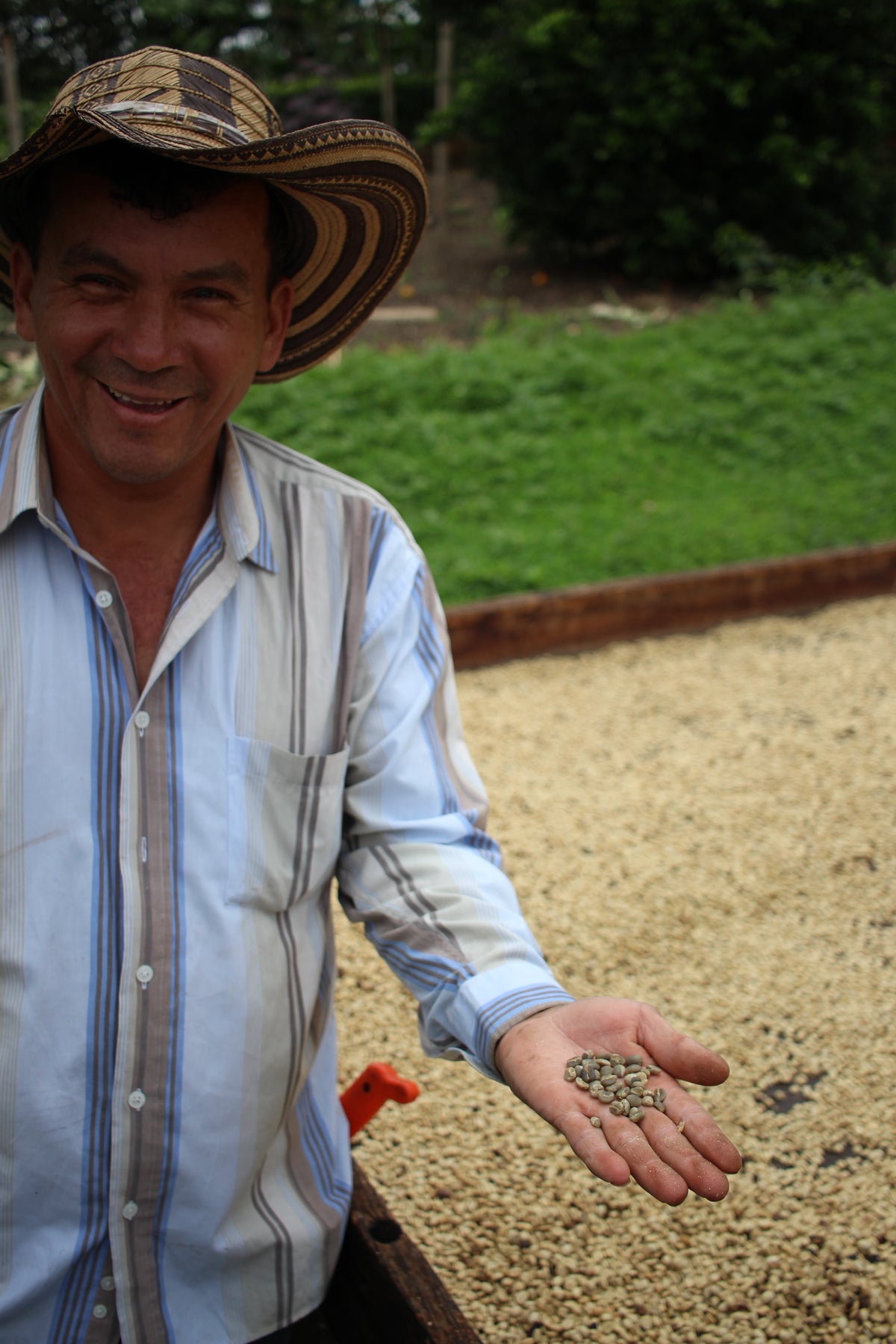 [DECAF] LA CRISTALINA - KOLUMBIEN