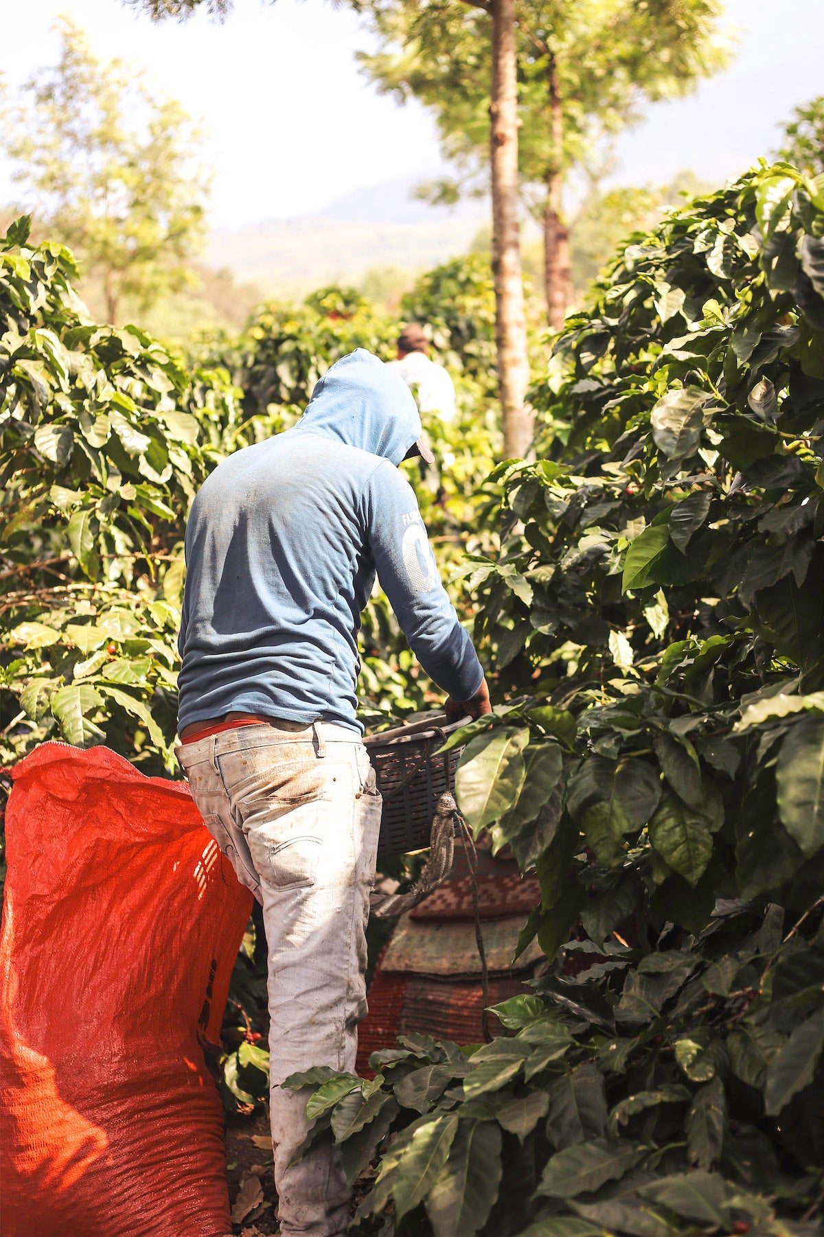 SANTA ISABEL - GUATEMALA