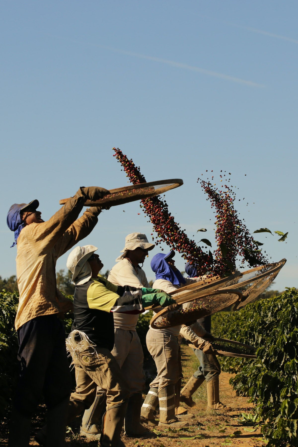 RIO BRILHANTE - BRASILIEN